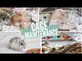 Hamster Cage Maintenance!