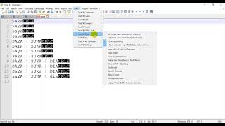 Combine & Remove Duplicate for TXT and CSV Files with Notepad++ Plugins