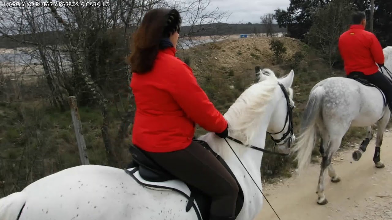 Rutas y paseos a caballo en Madrid (Galapagar)