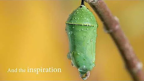 Xulon Press book: To Never Give Up! | Debra T. Pic...