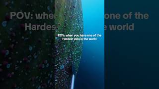 🛳️💥 Years of barnacle DESTROYED #Satisfying #CleanShip #BarnacleRemoval #shiplife #OddlySatisfying