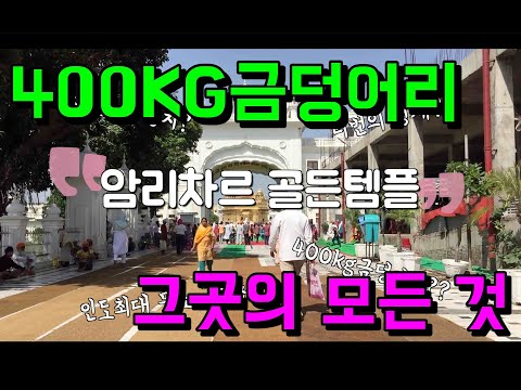 🇮🇳 400kg 금으로 만든 사원의 진실