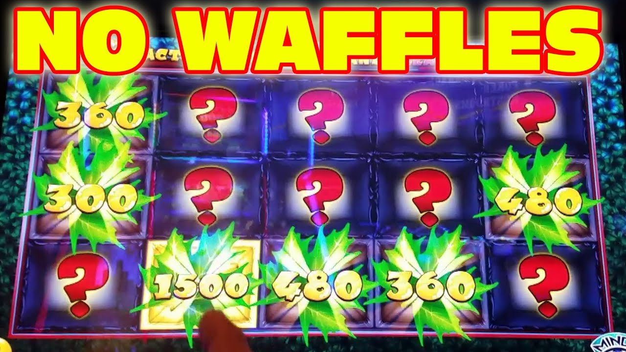 ROSCOE GETS NO CHICKEN AND WAFFLES IN LAS VEGAS YouTube