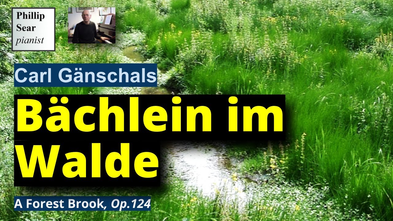 Carl Gänschals:  Bächlein im Walde (A Forest Brook), Op.124
