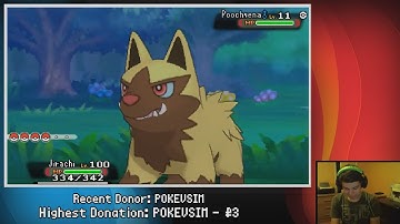 ORAS Shiny Hunting Livestream: Shiny Poochyena Encounter (Highlight)