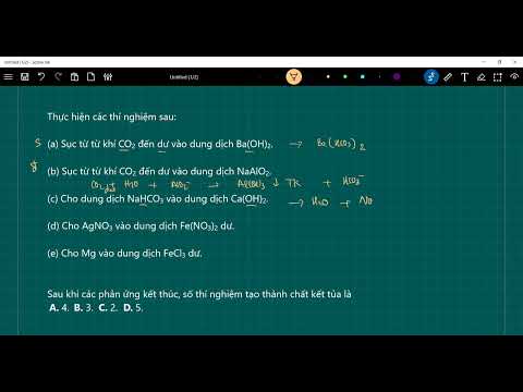 Video Thực hiện các thí nghiệm sau (a) Sục từ từ khí CO2 đến... - youtube