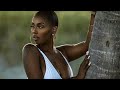 Beyonc  brown skin girl ft  wizkid official music mashup