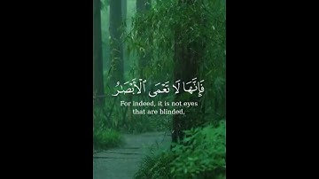 سورة الحج من ٤٦ الى ٤٧🕊
