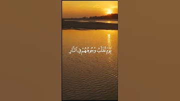 سورة الاحزاب 66- محمد اللحيدان surah al ahzab 66- Mohamed al lhidan