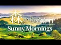 【癒やしのBGM】朝の光の中ピアノの旋律で心癒される ヒーリングサウンド / nature sound / ChillOut / relaxing