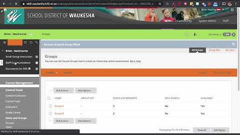 Blackboard Learn: Creating Custom Groups and Releasing Content to Groups