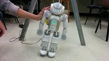 Humanoid Push Recovery - NAO