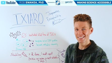 How the Japanese Encephalitis Vaccine (Ixiaro) Works