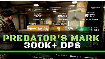 The Division | INSANE 300K+ DPS BUILD (Predator