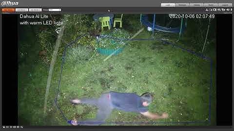 Dahua Lite AI camera Detect crawls and spins object on the ground at rainy and windy night
