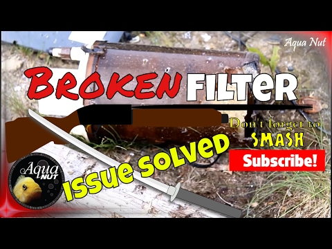 finatics aquarium store