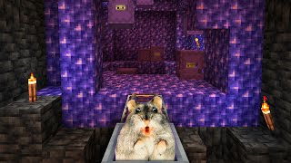 Hamster in Roller Coaster UNDERGROUND AMETHYS BLOCK MAZE in Minecraft