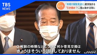 年明け解散見送り？観測に自民・二階氏動く【Nスタ】