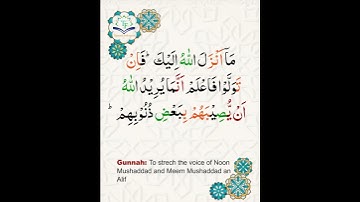 Learn Tajweed of Surah al-maidah Ayat 49 | تعلم التجويد - سورة المائدة | Tajweed Rules + Practice