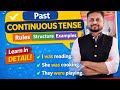 Learn Past Continuous Tense in Detail | Rules, Structure &amp; Examples