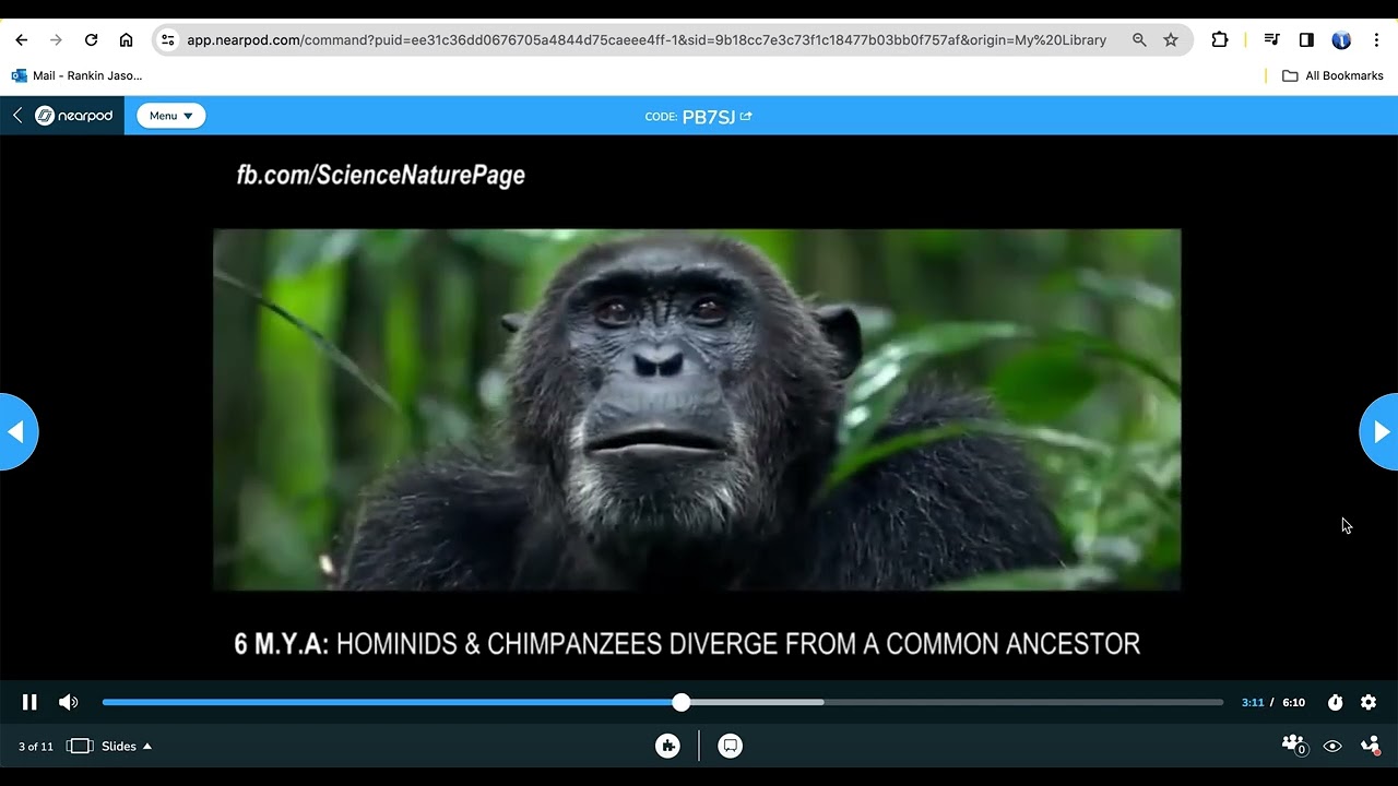 Geologic History: Eon, Era, Period , Epoch