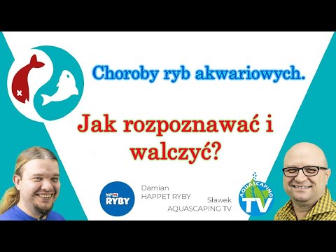 Wideo: Choroby Nerek I Układu Moczowo-płciowego U Ryb Akwariowych - Niewydolność Nerek U Ryb