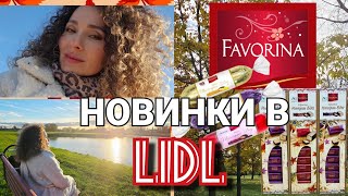 видео: 31-1 ноября 2025 г.🎄Новинки в LIDL/🛒Распаковка покупок/🌞Релакс🍂 для тела и души #латвия #lidl #осень картинка: 31-1 ноября 2025 г.🎄Новинки в LIDL/🛒Распаковка покупок/🌞Релакс🍂 для тела и души #латвия #lidl #осень