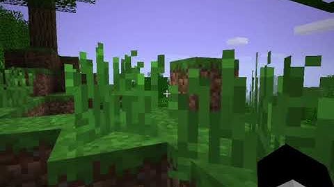 Answers and Discoveries...〡Let