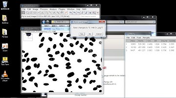 imagej用macro作分水嶺細胞分割01