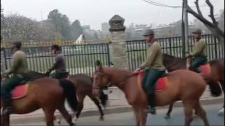 Horse trading