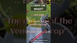 If you can't beat em ... #funnyshorts #funnyvideo #jokesvideo