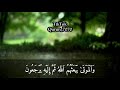 آيات قرآنية 30 ثانية 