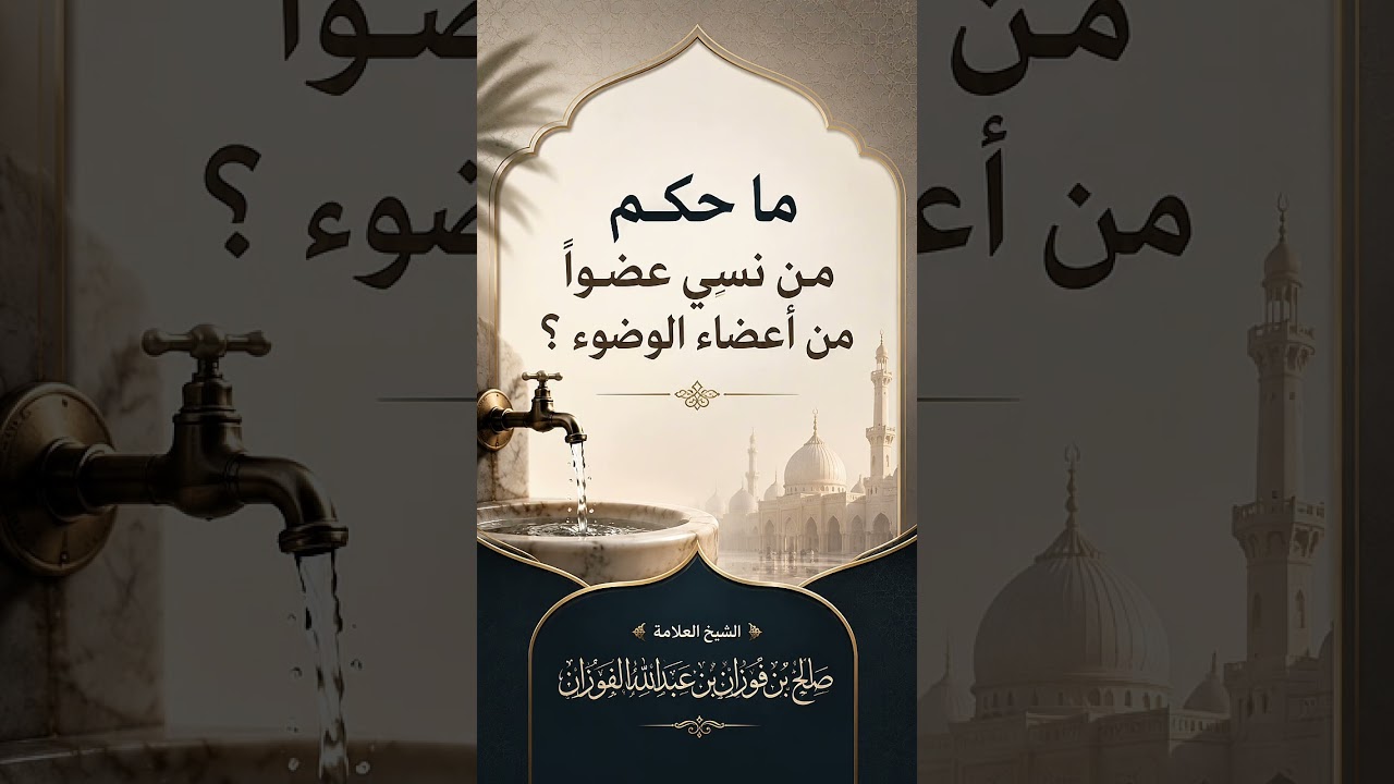ما حكم من نسي عضواً من أعضاء الوضوء ؟ الشيخ العلامة صالح بن فوزان بن عبدالله الفوزان .