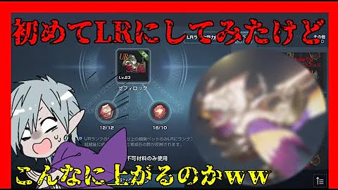 تحميل リネレボ ペット装備 تحميل リネレボ ペット装備
