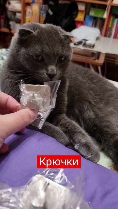 Крючки в ванную комнату - YouTube