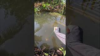 Tutorial dari bapak #nelayan #teknikrahasia #fbpro #reels #reelsviral #skills #fyp #trending