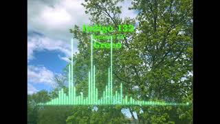 Indigo 132 - Green
