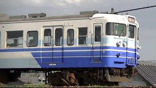 115系N24編成 新井快速 新ニイ 3372M 信越本線 新潟→新井