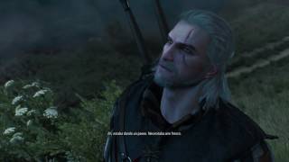 The Witcher 3 gameplay made with nvidia Shadowplay - Test video
