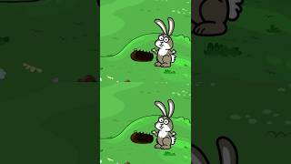 Wo ist der kleine Hase? 🐰- Hurra Kinderlieder #kinderlieder #kindermusik #lustigelieder #häschen