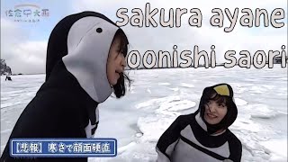 2 Penguins Struggle to Walk (Sakura Ayane & Oonishi Saori)