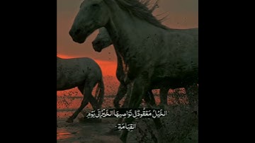 القارئ: عبدالرحمن مسعد || وَالْعَادِيَاتِ ضَبْحًا، فَالْمُورِيَاتِ قَدْحًا‏