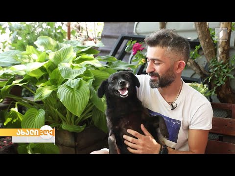 რუბრიკა „აკის პარკი“ - ცხოველთა აქტივისტის, დათო დიდებაშვილის საზაფხულო რჩევები