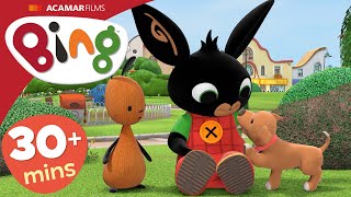Woef Zorgen Voor Flop En Meer  30 Mins   Bing Beste Afleveringen   Bing Nederlands