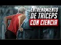 El mejor entrenamiento para tríceps / CIENTÍFICAMENTE COMPROBADO