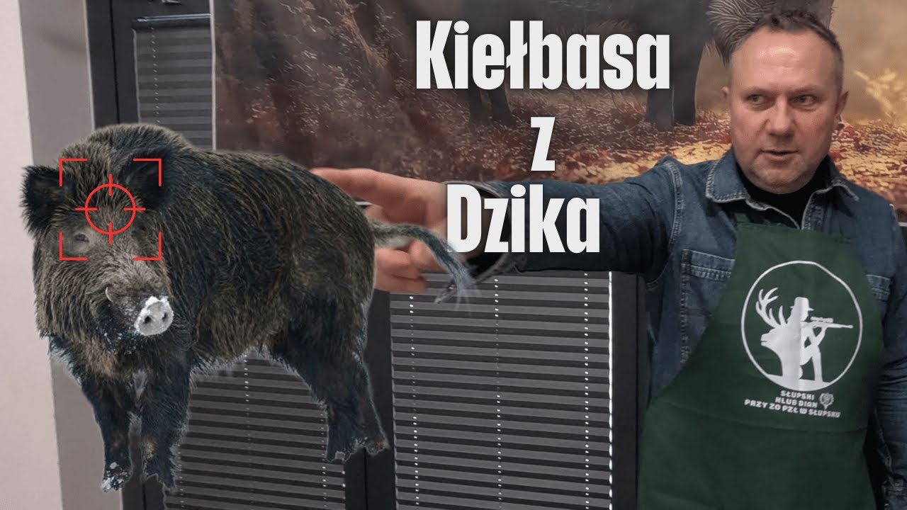 10 kg białej kiełbasy z dzika / Oddaszfartucha