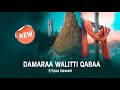 Damaraa Walitti Qabaa F Ttuu Hawwii Faarfannaa Afaan Oromoo Ortodoksii Tewahidoo