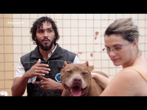 Vídeo: Loções de pele seca para cães