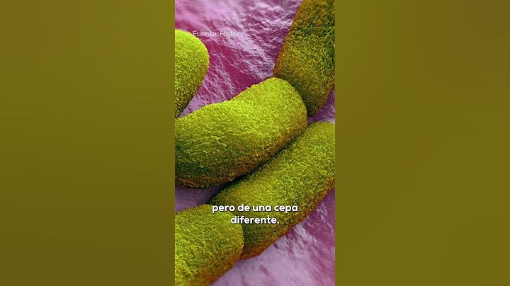 Las 5 PANDEMIAS más LETALES de la HISTORIA 😷🌍💀