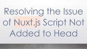 Resolving the Issue of Nuxt.js Script Not Added to Head